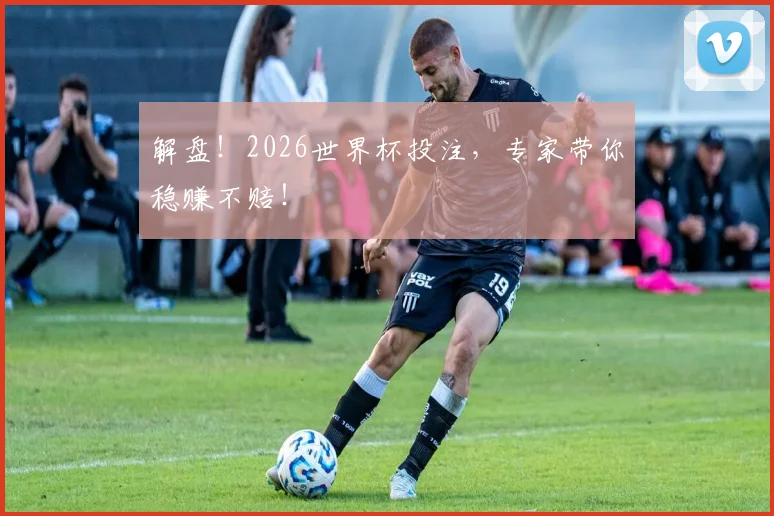 解盘!2026世界杯投注,专家带你稳赚不赔!