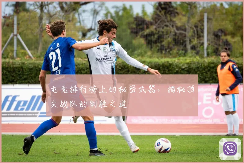 电竞排行榜上的秘密武器，揭秘顶尖战队的制胜之道