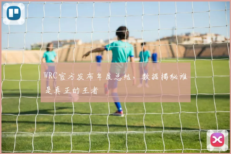 WRC官方发布年度总结,数据揭秘谁是真正的王者