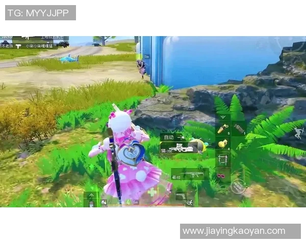 和平精英新手必看战术入门指南助你快速上手游戏技巧与策略