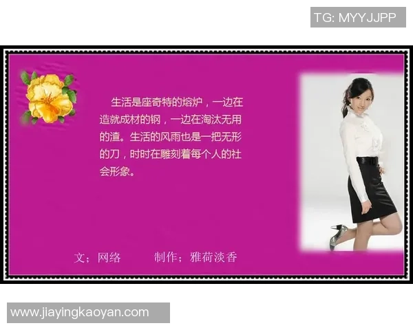 深度对话：陈军如何在CSGO中找到人生的意义与乐趣