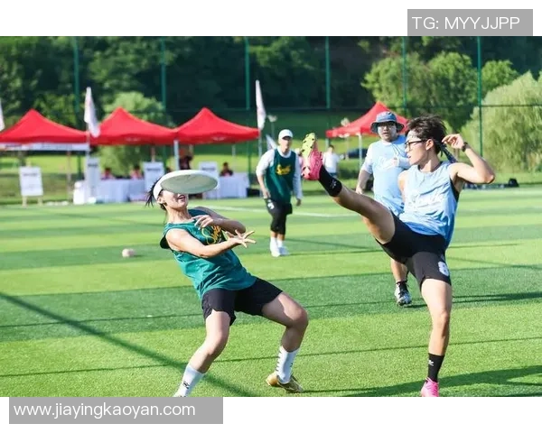 飞盘竞技的魅力与智慧：深入解析西安飞盘队的战术布局与团队协作